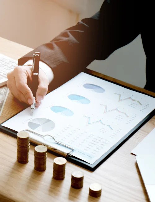 Hire Internal auditor in Bangalore | MSNA Associates