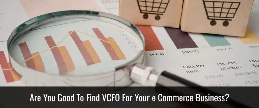 VCFO HELPS IN GROWTH OF E-COMMERCE